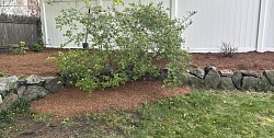 mulch